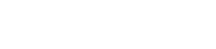 botinho.ai
